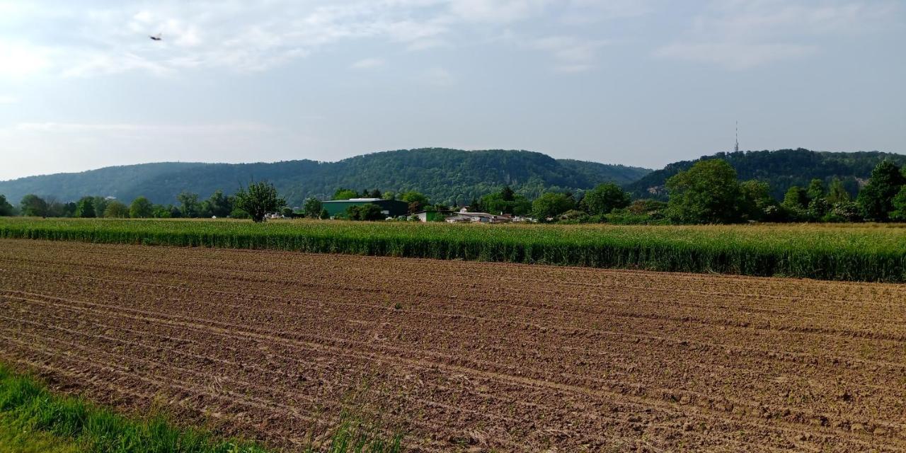 Ferienwohnung In Grenzach Esterno foto